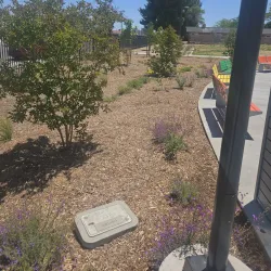 Adelanto Regional Park - Adelanto