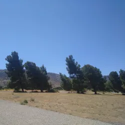 Mojave River Forks Regional Park (nearby) - Adelanto