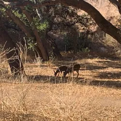 Chumash Indian Museum - Agoura Hills