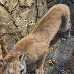 Chumash Indian Museum - Agoura Hills