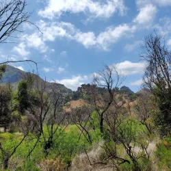 Malibu Creek State Park - Agoura Hills