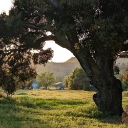 Malibu Creek State Park - Agoura Hills
