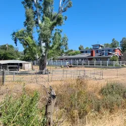 Old Agoura Park - Agoura Hills