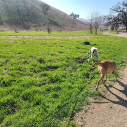 Old Agoura Park - Agoura Hills