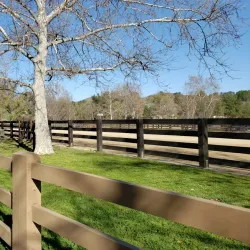 Old Agoura Park - Agoura Hills