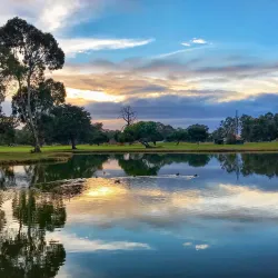 Bay Farm Island Golf Course - Alameda