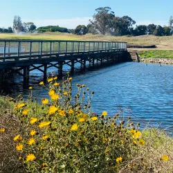 Bay Farm Island Golf Course - Alameda