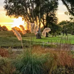 Bay Farm Island Golf Course - Alameda