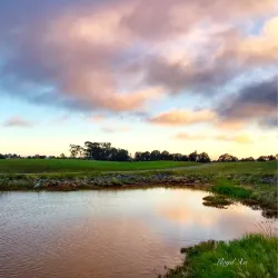 Bay Farm Island Golf Course - Alameda