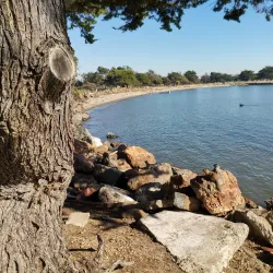 Crab Cove Visitor Center - Alameda