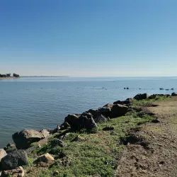 Crab Cove Visitor Center - Alameda