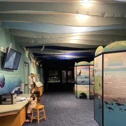 Crab Cove Visitor Center - Alameda