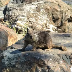 Crab Cove Visitor Center - Alameda