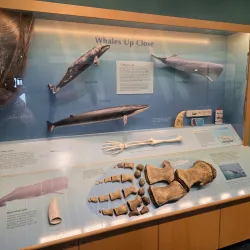 Crab Cove Visitor Center - Alameda