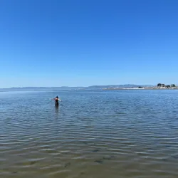 Crown Memorial State Beach - Alameda