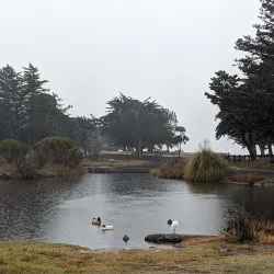 Crown Memorial State Beach - Alameda