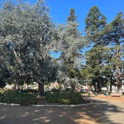 Lincoln Park - Alameda