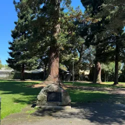 Lincoln Park - Alameda