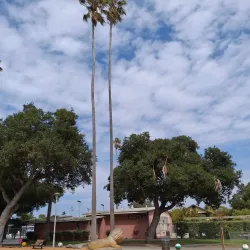 Lincoln Park - Alameda