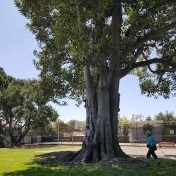 Lincoln Park - Alameda