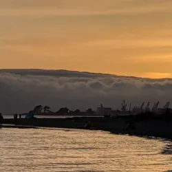 Robert W. Crown Memorial State Beach - Alameda