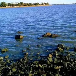Robert W. Crown Memorial State Beach - Alameda