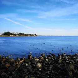 Robert W. Crown Memorial State Beach - Alameda