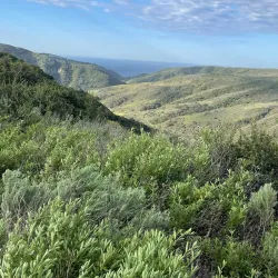 Aliso and Wood Canyons Wilderness Park - Aliso Viejo
