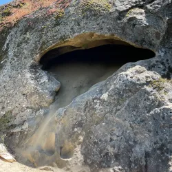 Aliso and Wood Canyons Wilderness Park - Aliso Viejo