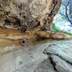 Aliso and Wood Canyons Wilderness Park - Aliso Viejo