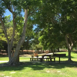 Aliso Viejo Community Center - Aliso Viejo