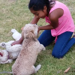 Aliso Viejo Community Center - Aliso Viejo