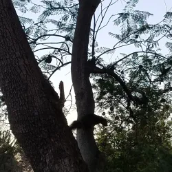 Aliso Viejo Community Center - Aliso Viejo