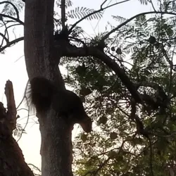 Aliso Viejo Community Center - Aliso Viejo