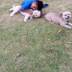 Aliso Viejo Community Center - Aliso Viejo