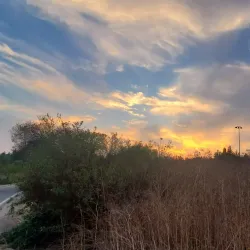 Aliso Viejo Community Park - Aliso Viejo