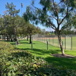 Aliso Viejo Community Park - Aliso Viejo