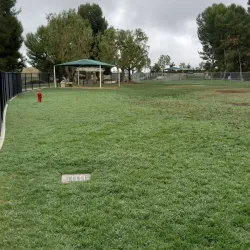 Aliso Viejo Dog Park - Aliso Viejo