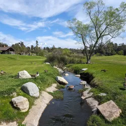 Laguna Niguel Regional Park - Aliso Viejo