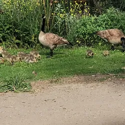 Laguna Niguel Regional Park - Aliso Viejo