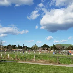 American Canyon Community Park - American Canyon