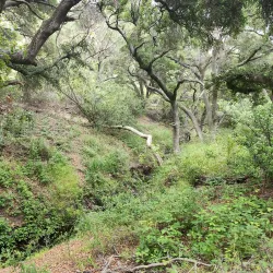 Canyon View Park - American Canyon