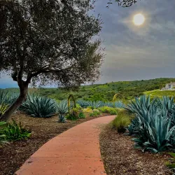 Canyon View Park - American Canyon