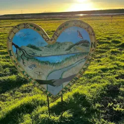 Napa County Wildlife Area - American Canyon