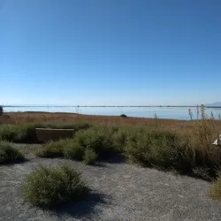 Napa County Wildlife Area - American Canyon