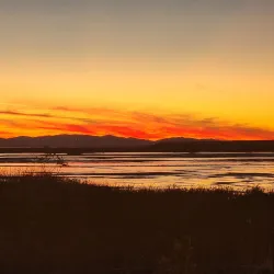 Napa County Wildlife Area - American Canyon