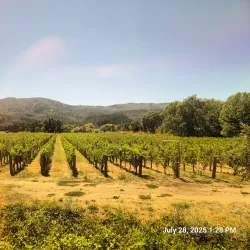 Napa Valley Wine Train - American Canyon
