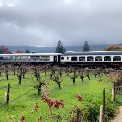 Napa Valley Wine Train - American Canyon