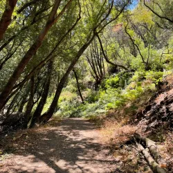 Skyline Wilderness Park - American Canyon