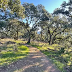 Skyline Wilderness Park - American Canyon